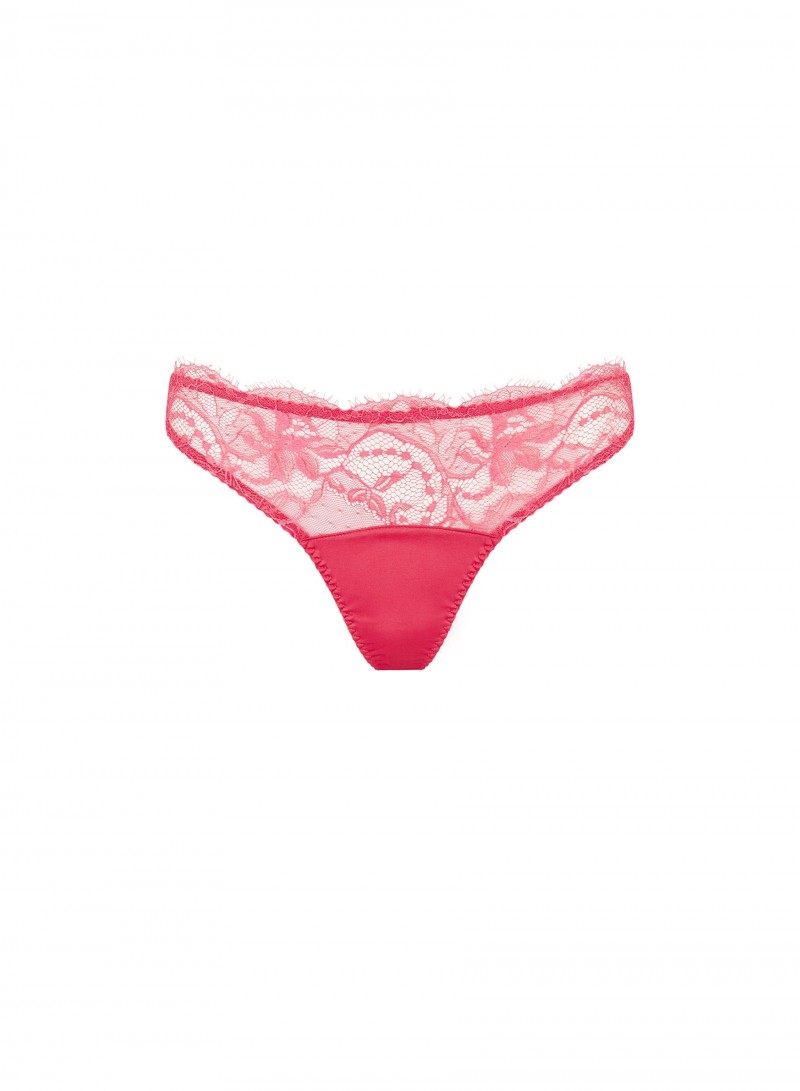 Camellia Tanga